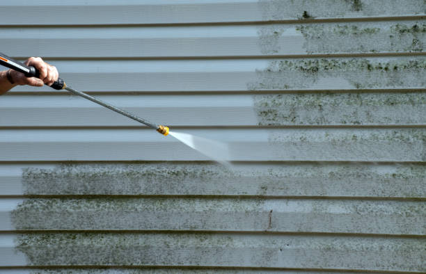 Best Affordable Pressure Washing  in Frankfort Square, IL